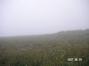 s_PICT0520_thumb.png